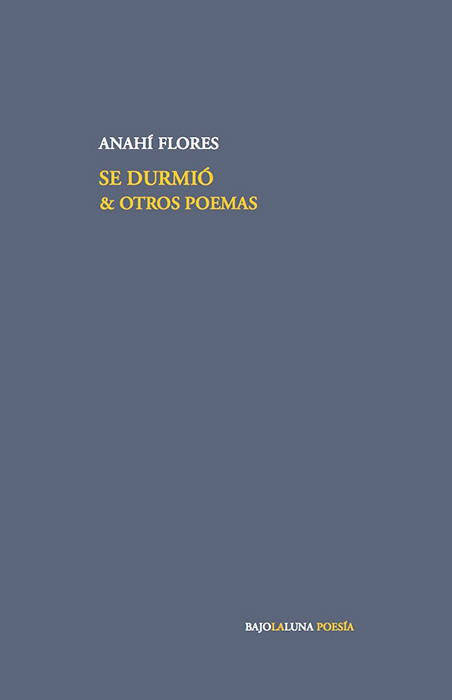 Nunca menos - Covers de la literatura argentina 